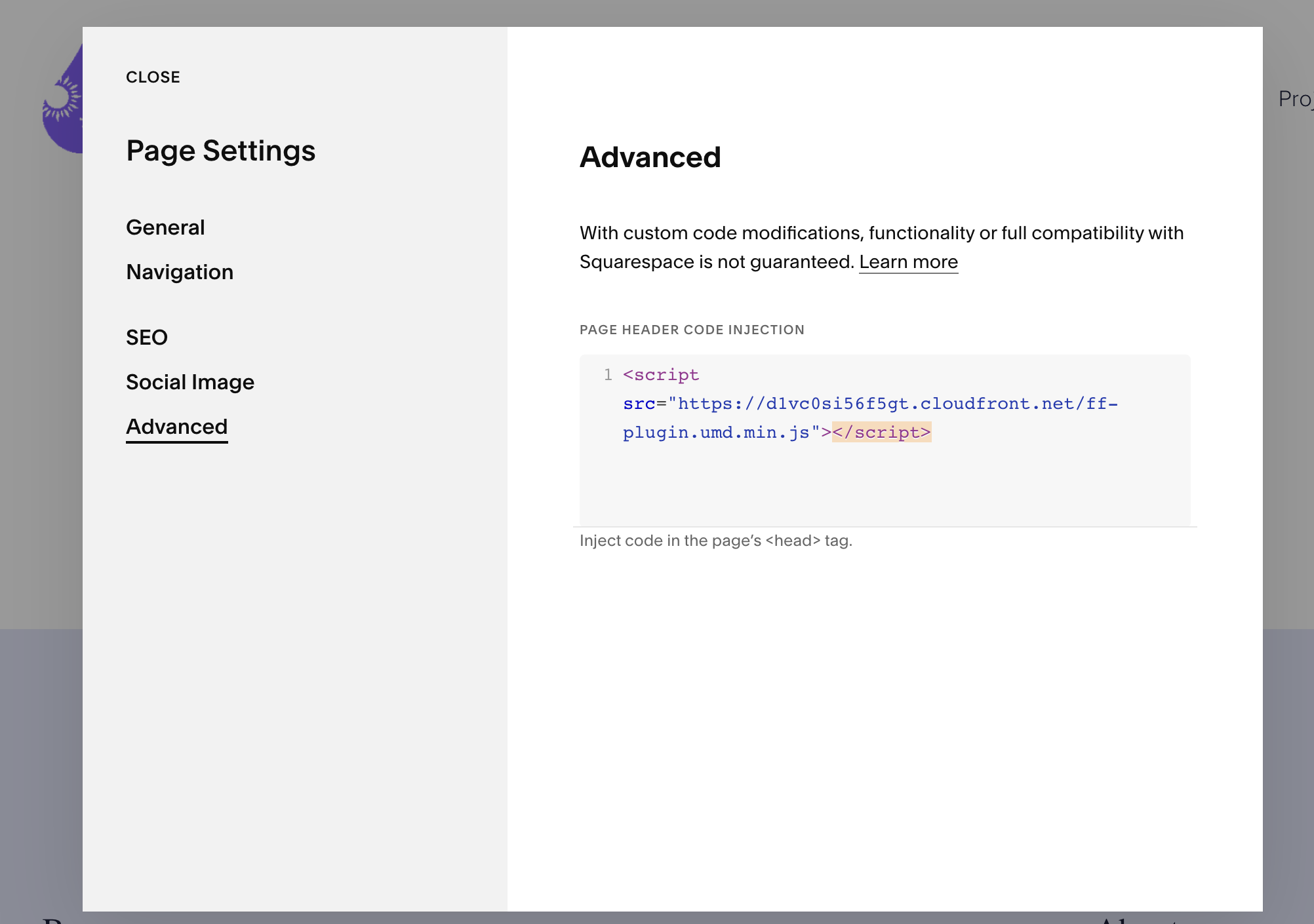 Image of the advanced tab in the page settings